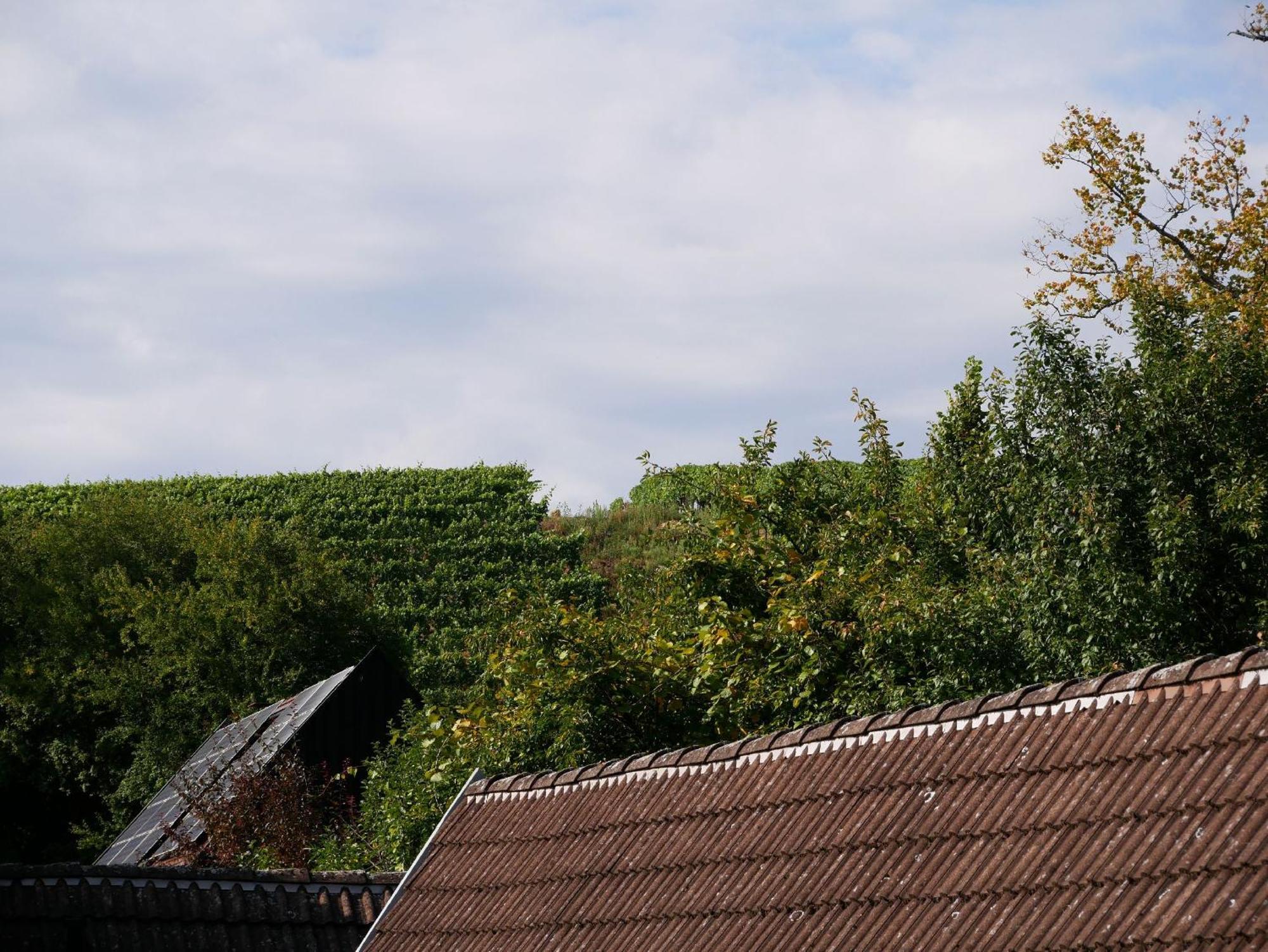 Haus Der Malerin Andrea Gawaz Appartement Mullheim  Buitenkant foto